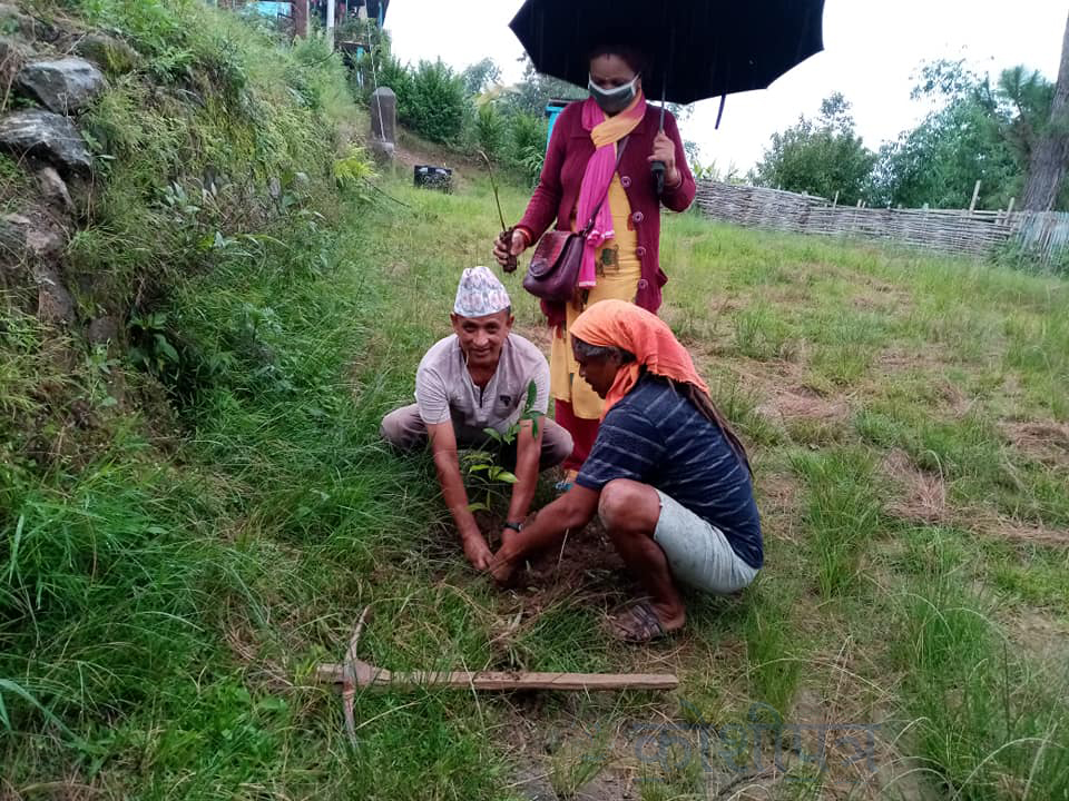 santosh ruchal