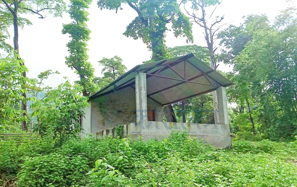 himal 3