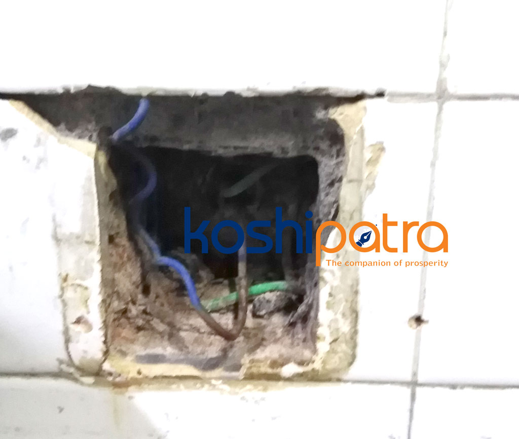 bijuli-ko-plug