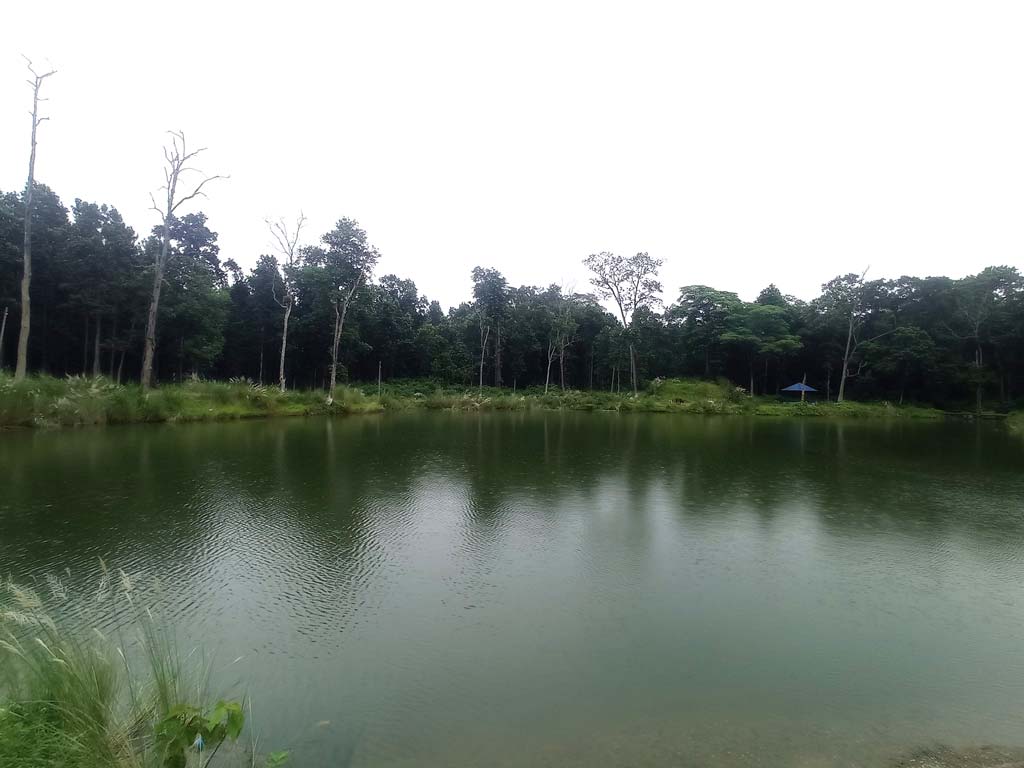 ahal