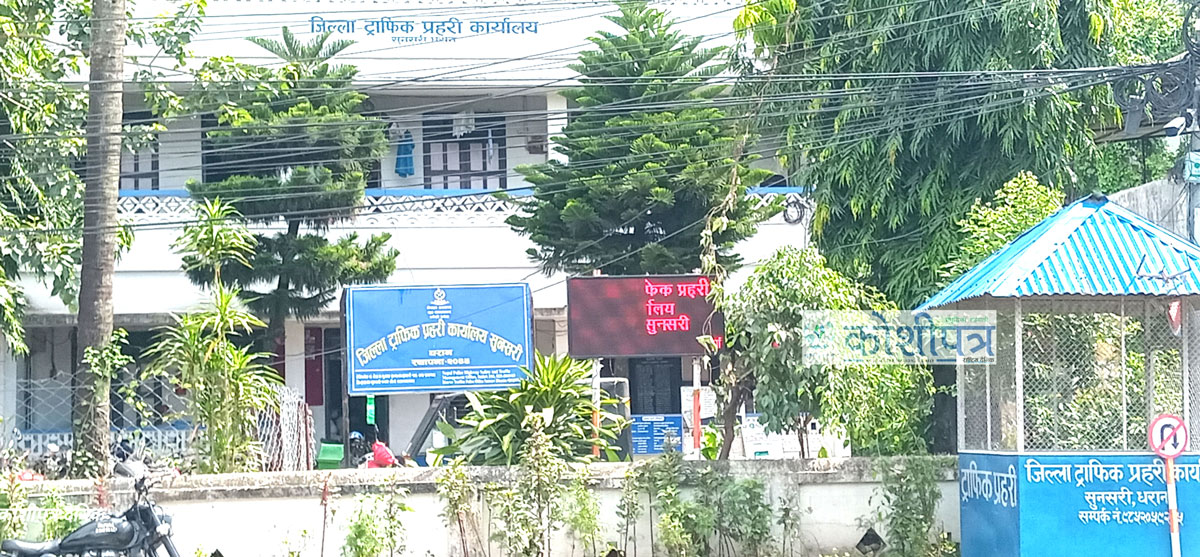 koshipatra-trafik-p 1