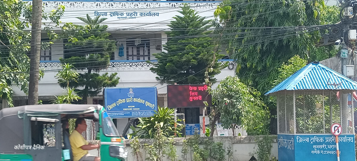 trafik-koshipatra 1
